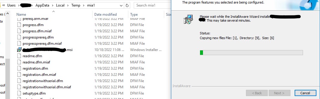 During_Install_files.jpg