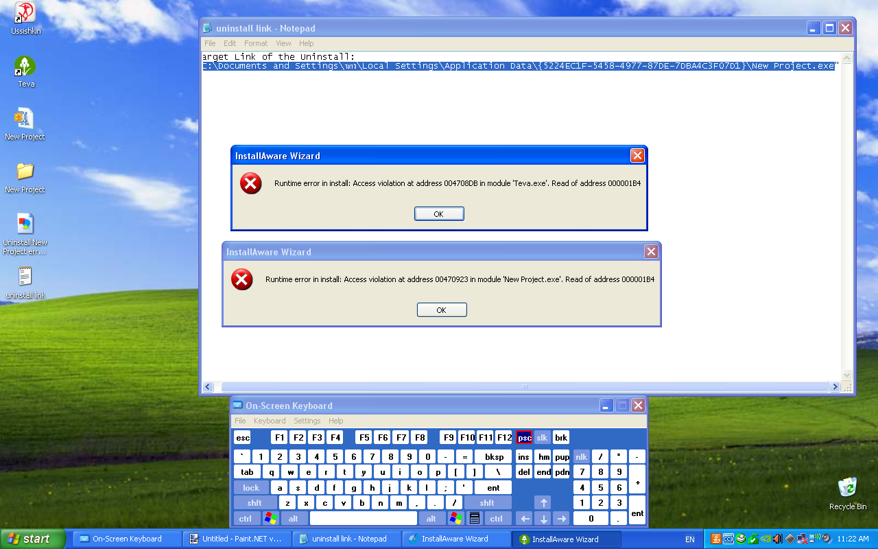 This screen shows both the error of my installer and the one of MichaelNeshbit